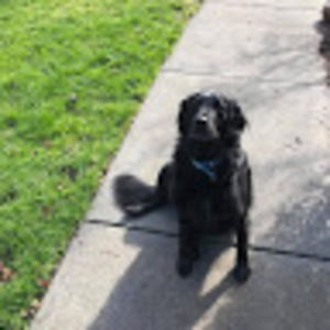 Meet your Posher, Paul